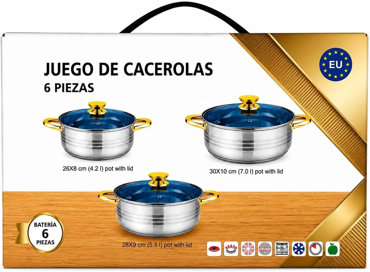 Stainless Steel Pots and Lids Set with Gold Handles Induction Ready, Includes Lids, 6-Piece Set